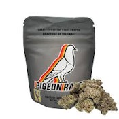Pigeon Racer - Coconut Z Premier Indoor Flower 3.5g