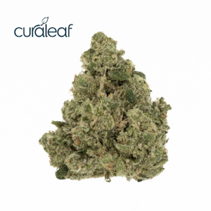 CURALEAF - Pina Grande (S) 00616