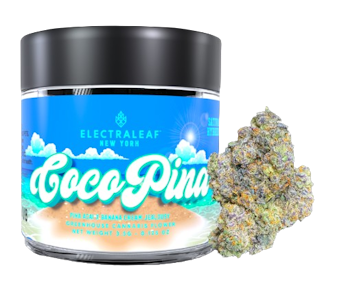 Electra Leaf - Coco Pina (3.5G Jar)