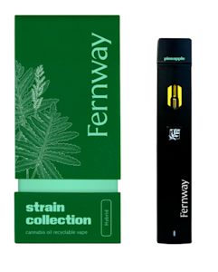 FERNWAY - Pineapple Express 1G Traveler Vape AIO