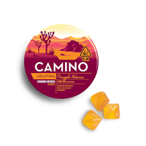 CAMINO - CAMINO | PINEAPPLE HABANERO - 20PK | EDIBLE | 100MG