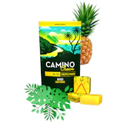 Pineapple Paradise Chews 100mg | Camino