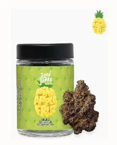 Seed Junky Genetics Michigan - Seed Junky Genetics - 7g Bigs - Pineapple Fruz Main Image