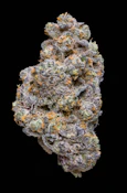 Pineapple Burst - Deli Flower- Emerald Fire Farms 