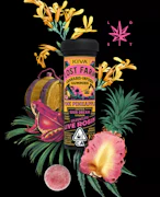 Kiva Lost Farm Live Rosin Gummies Pink Pineapple Sour Dream
