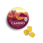 Camino Pineapple Habanero "Uplifting" Gummies
