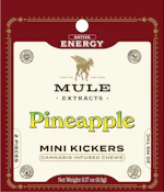 Pineapple Kicker Gummies 2pk 100mg