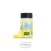 Stiiizy - Pineapple Paradise - Gummies - 100mg - 10pk