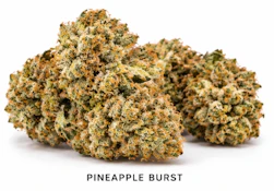 Pineapple Burst- Deli Flower | Emerald Fire