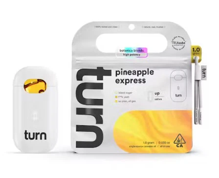 turn - [Turn Up] - BB TurnOne (1g) - Pineapple Express Main Image