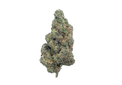 Coastal Roots | Pirate Cake | 3.5g Flower | [I]