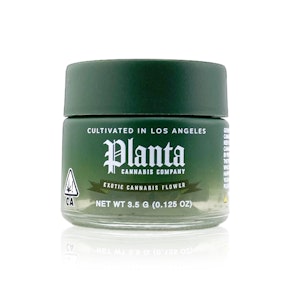 PLANTA - Flower - Gelonade - 3.5G