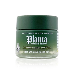 PLANTA - PLANTA - Flower - Gelonade - 3.5G