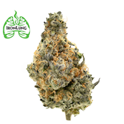 Iron Lung | Platinum Garlic | 3.5g [H]