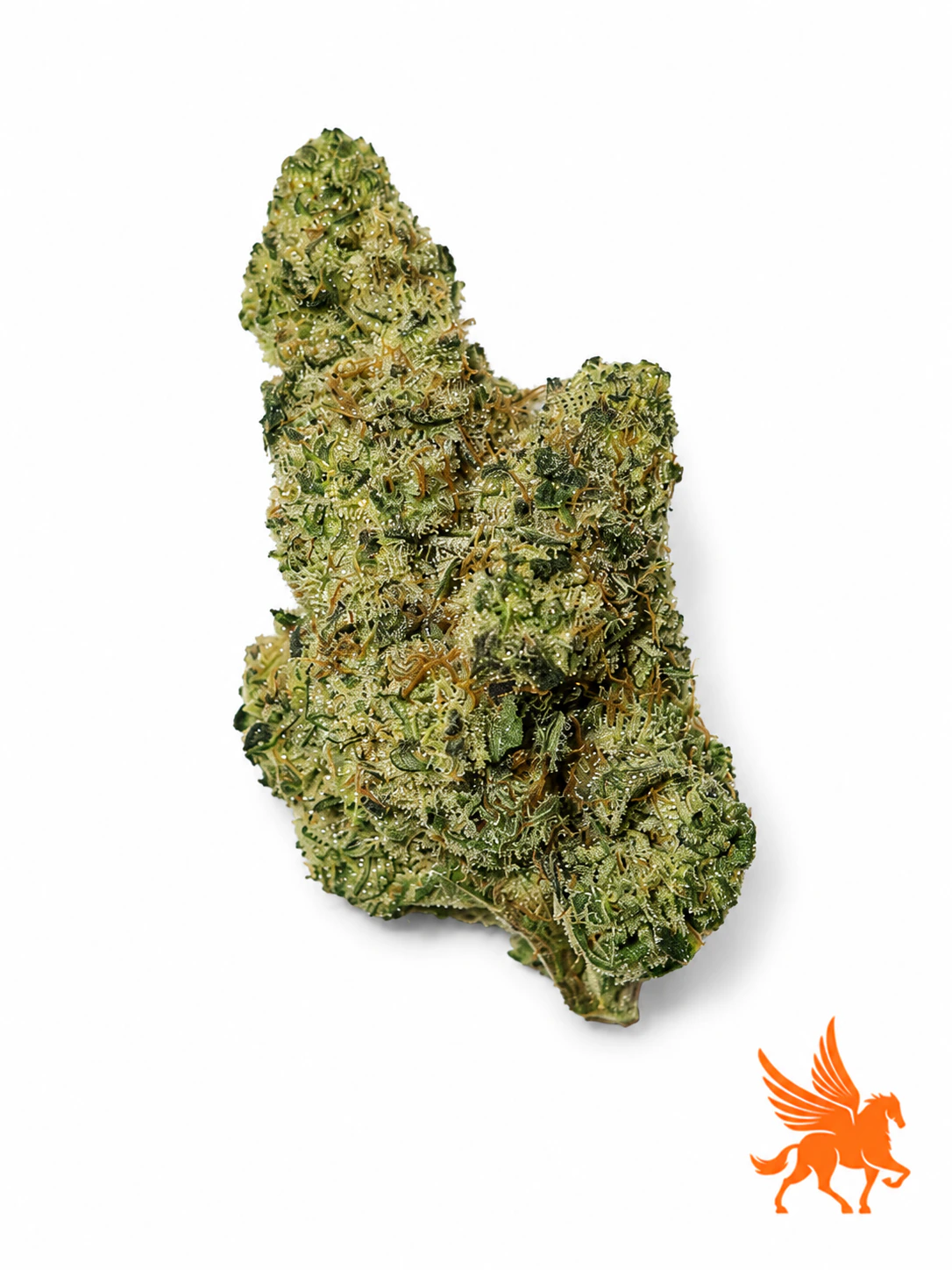 Pegasus Green - PLATINUM HIGH Main Image