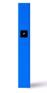 PLUGPLAY - Plug Play - Battery - Blue Steel