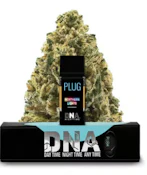 Plug Play - Pod - Northern Lights (I) 1g