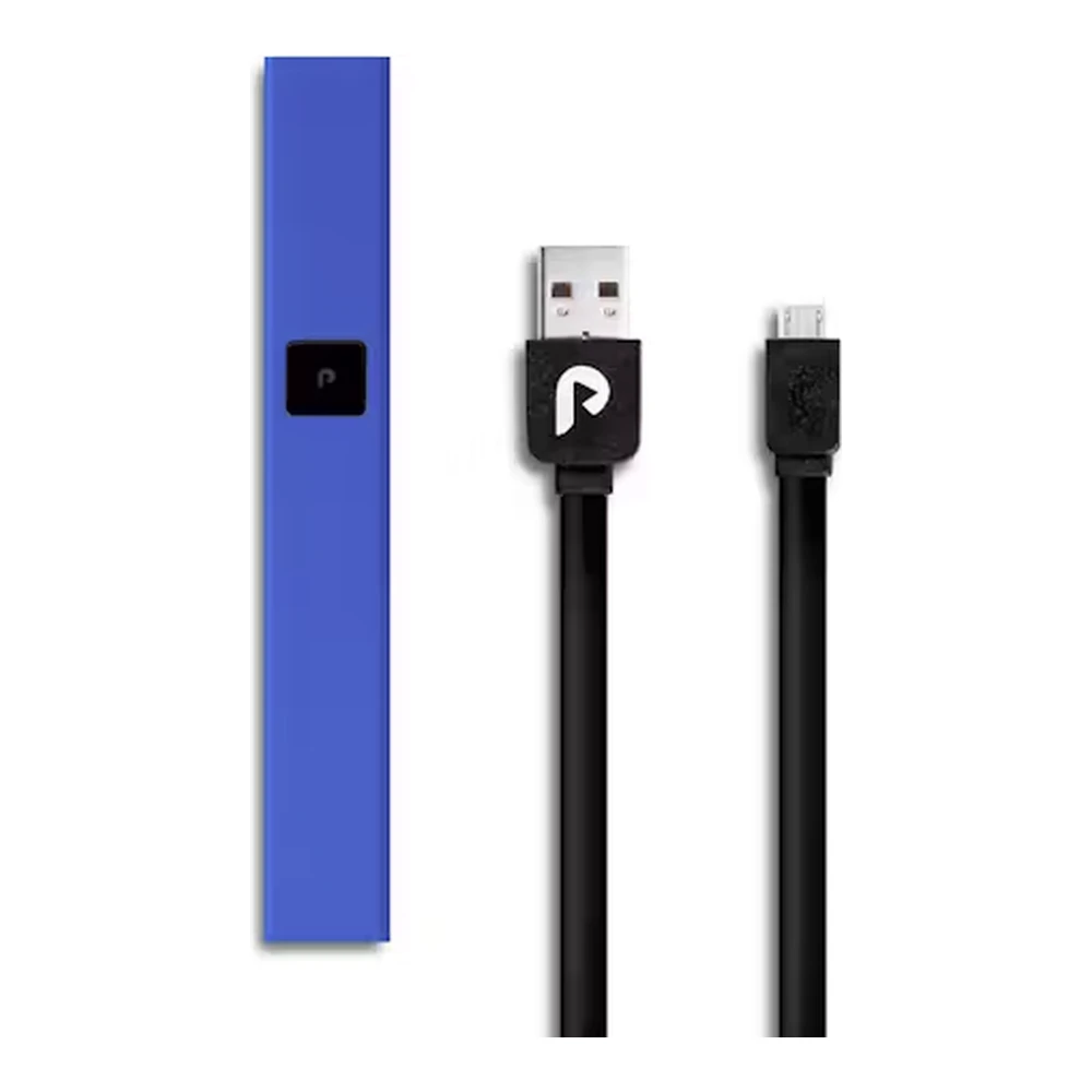 PLUGPLAY™ - PLUGplay | Blue Steel | Battery Main Image