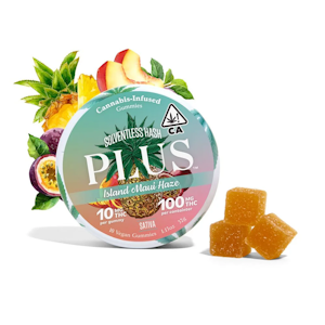Plus - Plus | Strains | Island Maui Haze | Hash Infused | Gummies