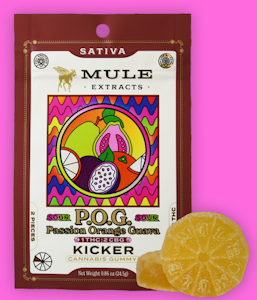 MULE EXTRACTS - Mule Extracts POG 1:2 CBG 2pc Kicker Gummy 100mg
