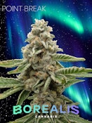 BOREALIS - POINT BREAK 1 GRAM PRE-ROLL