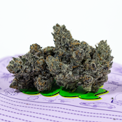 Teds Budz - Poison Gushers Flower - 3.5G