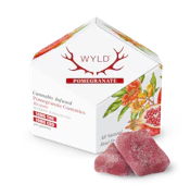 Pomegranate Gummies | 10pc 200mg 1:1 (THC:CBD)