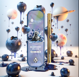 DOMPEN - Dompen x EVOL by Future All In One 1g Blueberry Bandz
