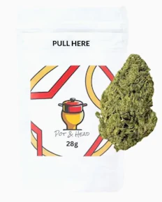 Pot & Head | Flower - Garlic Breath | 28G