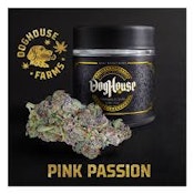 Pink Passion | Doghouse | Bulk Flower