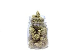 Flower of Life - Icee Sherbet (Indica) Prepacked Flower - 3.5g