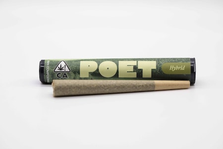 Poet - Curacao - 1g (H) - Poet
