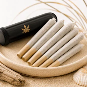 Animal House | 7pk - 0.5g Infused Prerolls | Sherbango | Hybrid