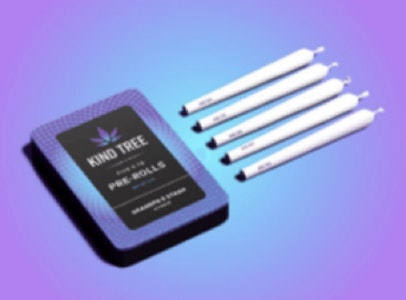 KIND TREE - Kind Tree | Shady Lady | 7pk/3.5g