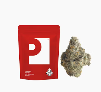 PREFERRED GARDENS - PREFERRED 3.5G Traffic Jam Premium Flower