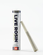 Oregrown Buckn' Runtz x Hunny Bun Sundae Infused Pre-Roll 1g