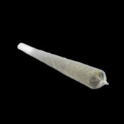 Prerolls (2-pack, 1g Total, 0.5g each) - Sativa