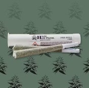  Hazy Hill | Papaya Flambe | 1G Pre-Roll