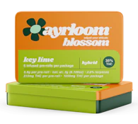 Key Lime | Infused Pre-Roll | 3G