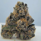 THC - Presidential Runtz Bud