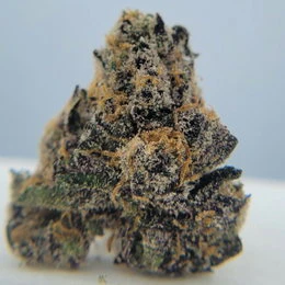 The Hempire Collective - THC - Presidential Runtz Bud Main Image