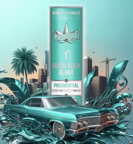 DUMBO ELECTRIC - OG Classic Presidential -Hybrid- 32.53% THC | Presidential Moon Rock Infused Pre-Roll 1g | Dumbo Electric -jj11 middle