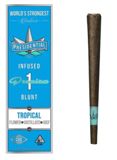 Presidential - PRESIDENTIAL - Infused Preroll - Tropical - Moon Rock Blunt - 1.5G Main Image