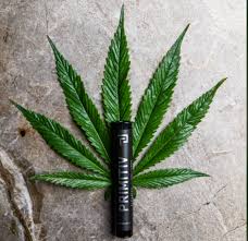 Primitiv - Blueberry Muffin 1g Pre-Roll