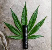 Primitiv - Blueberry Muffin 1g Pre-Roll