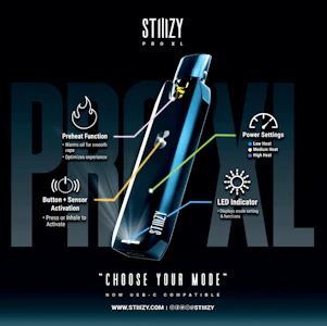 STIIIZY - Stiiizy - Pro XL Battery - Black