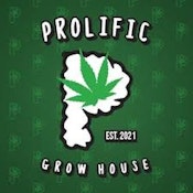 GMO Cake Pre-Roll 1g