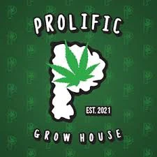 Prolific Growhouse - GMO Cake Pre-Roll 1g Main Image