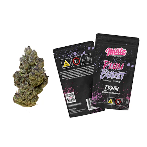 Mintz - Plum Burst -Sativa/Hybrid- 17.27% THC | 3.5g (Flower) | Mintz   -o5