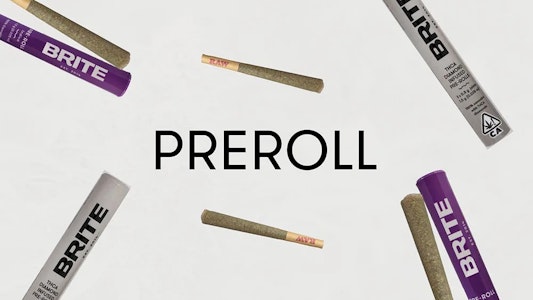 Brite - Brite/Preroll/Sour Diesel/1g/(S)